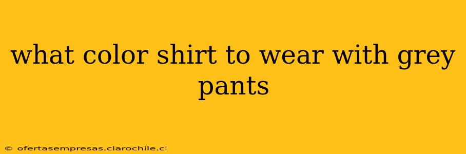 what color shirt to wear with grey pants