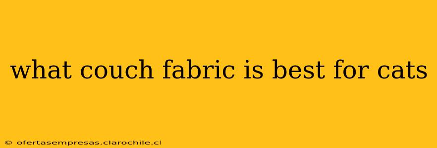 what couch fabric is best for cats