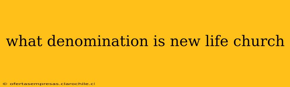 what denomination is new life church
