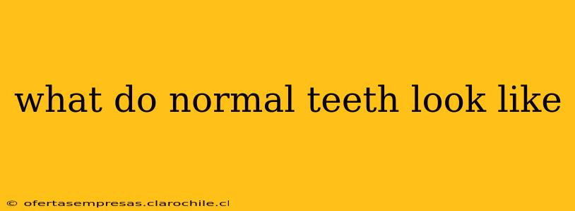 what do normal teeth look like