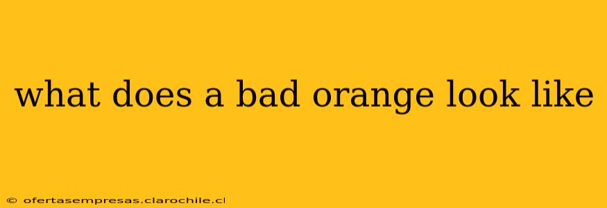 what does a bad orange look like