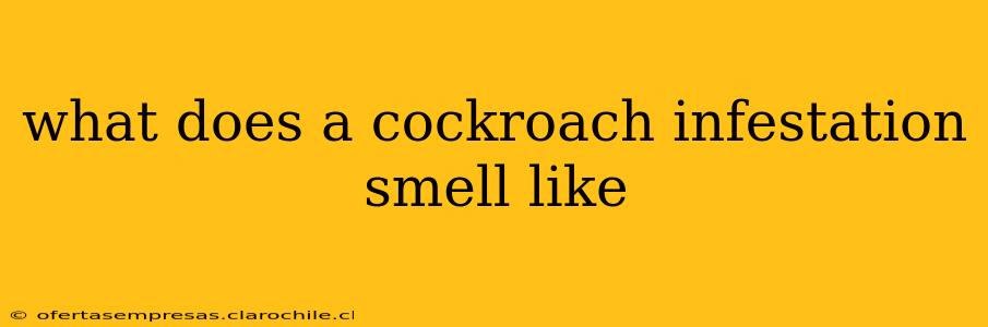 what does a cockroach infestation smell like
