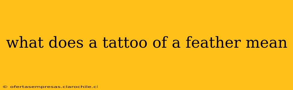 what does a tattoo of a feather mean