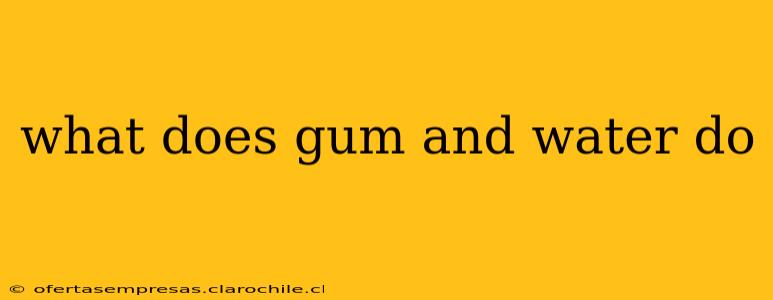 what does gum and water do