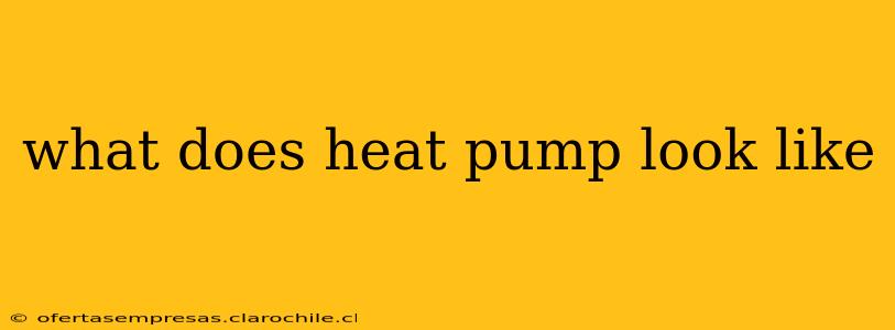 what does heat pump look like