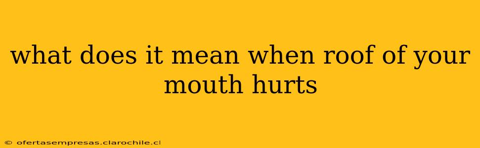 what does it mean when roof of your mouth hurts