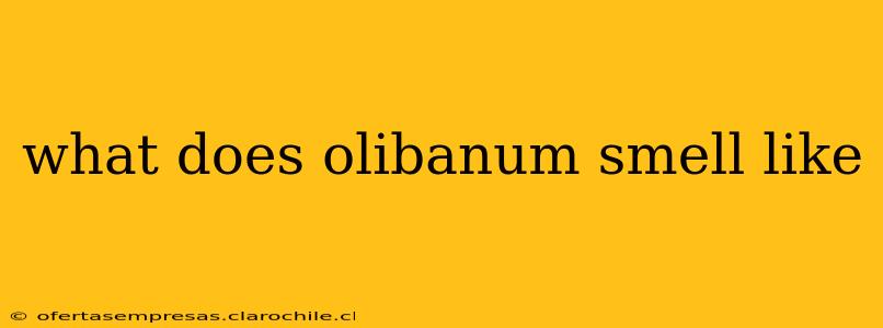 what does olibanum smell like