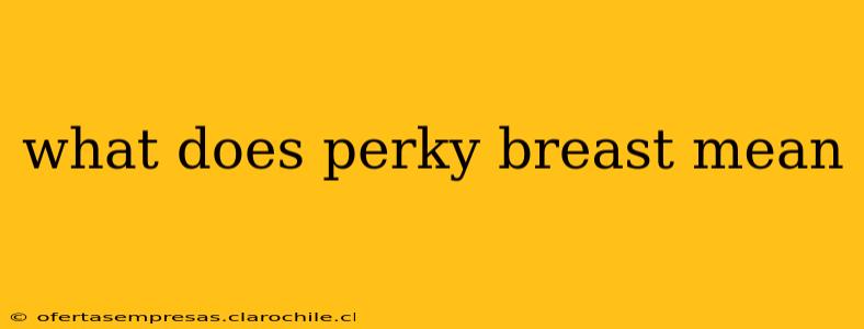 what does perky breast mean