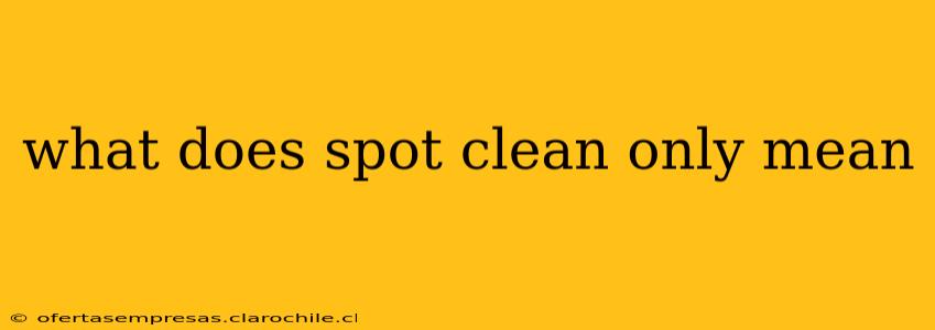 what does spot clean only mean