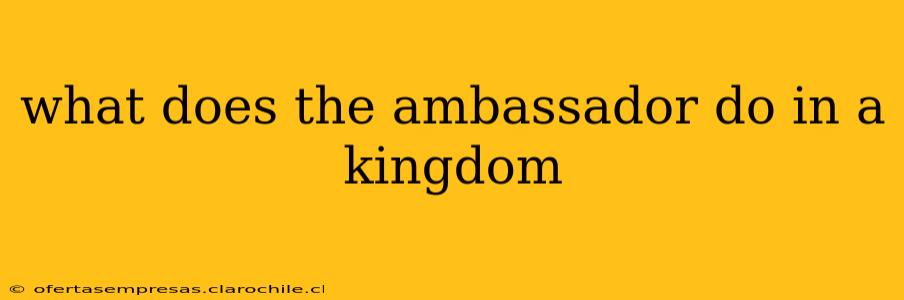 what does the ambassador do in a kingdom