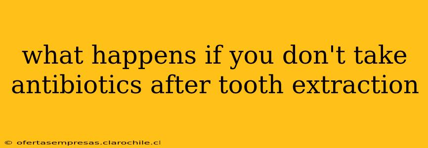 what happens if you don't take antibiotics after tooth extraction