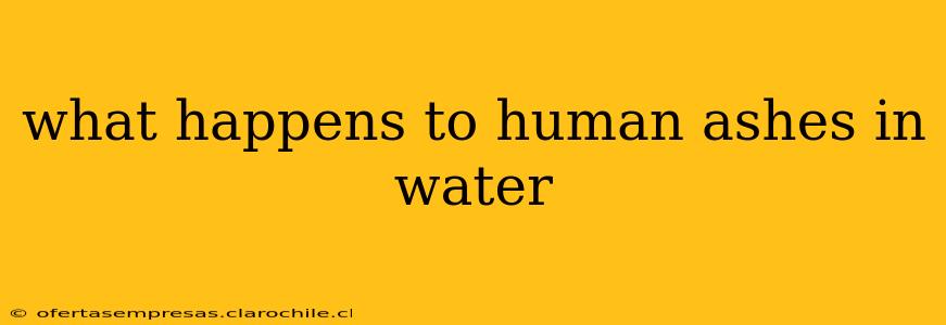 what happens to human ashes in water