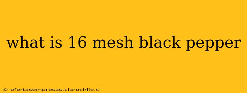 what is 16 mesh black pepper