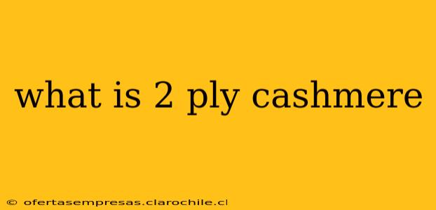 what is 2 ply cashmere
