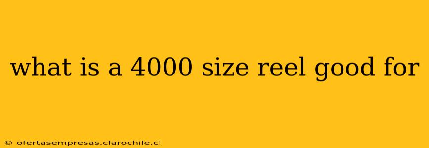 what is a 4000 size reel good for