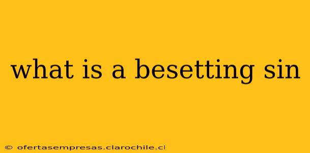 what is a besetting sin