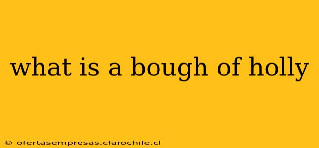 what is a bough of holly