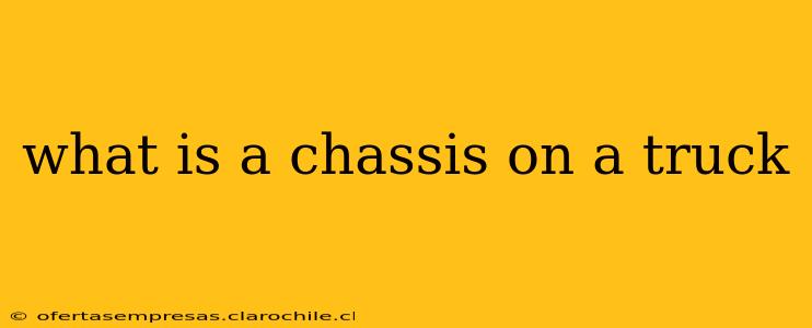 what is a chassis on a truck