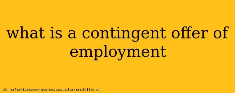 what is a contingent offer of employment