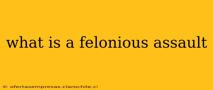 what is a felonious assault