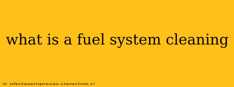 what is a fuel system cleaning