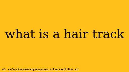 what is a hair track