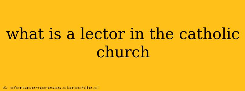 what is a lector in the catholic church