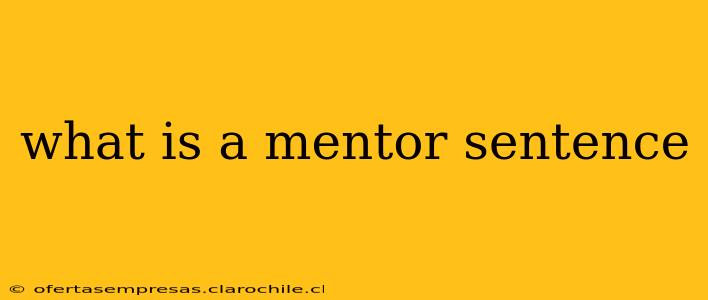 what is a mentor sentence