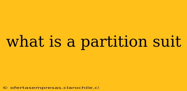 what is a partition suit
