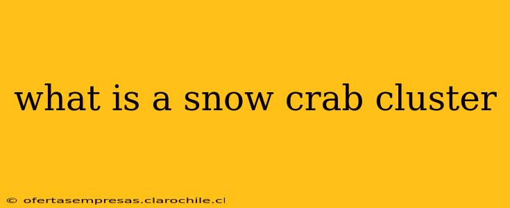 what is a snow crab cluster