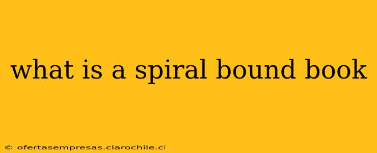 what is a spiral bound book