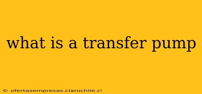 what is a transfer pump