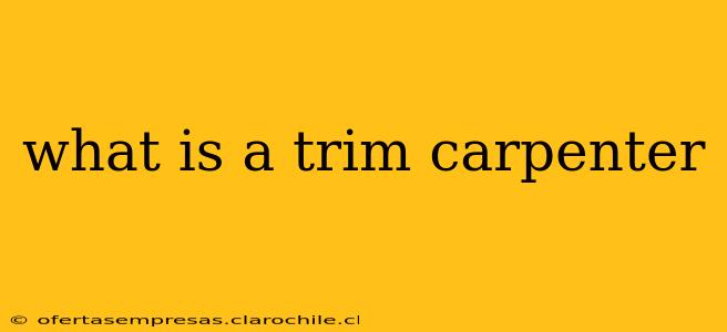 what is a trim carpenter