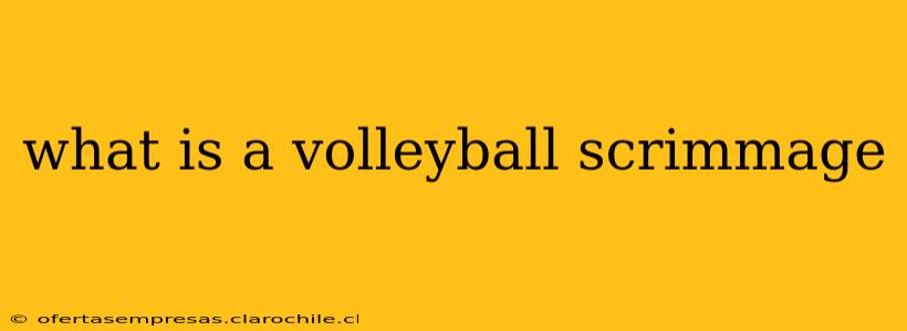 what is a volleyball scrimmage