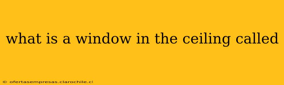 what is a window in the ceiling called