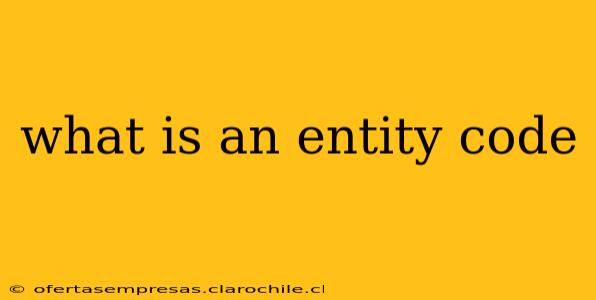 what is an entity code