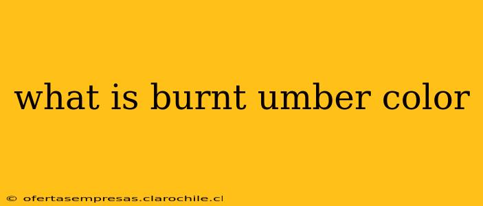 what is burnt umber color