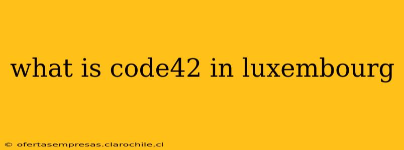 what is code42 in luxembourg