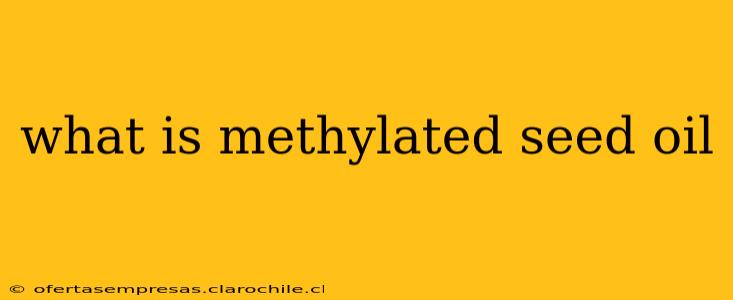 what is methylated seed oil