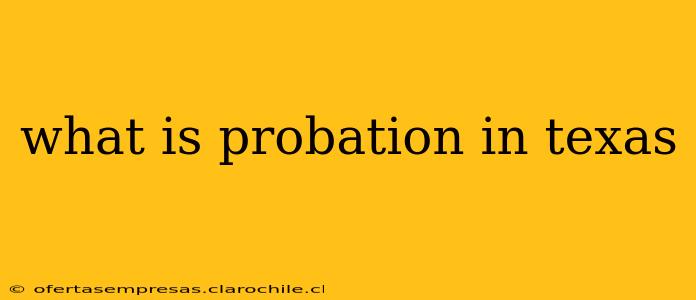 what is probation in texas