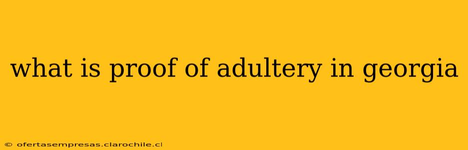 what is proof of adultery in georgia