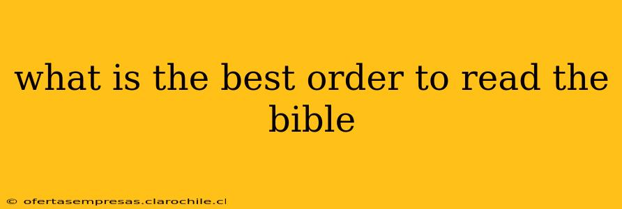 what is the best order to read the bible