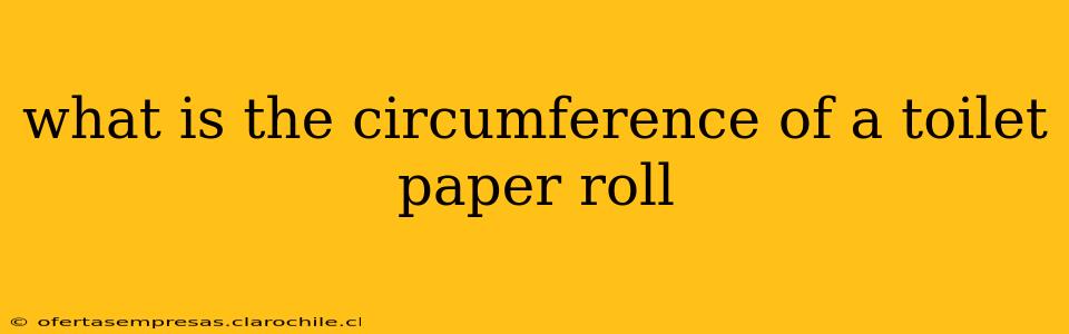 what is the circumference of a toilet paper roll
