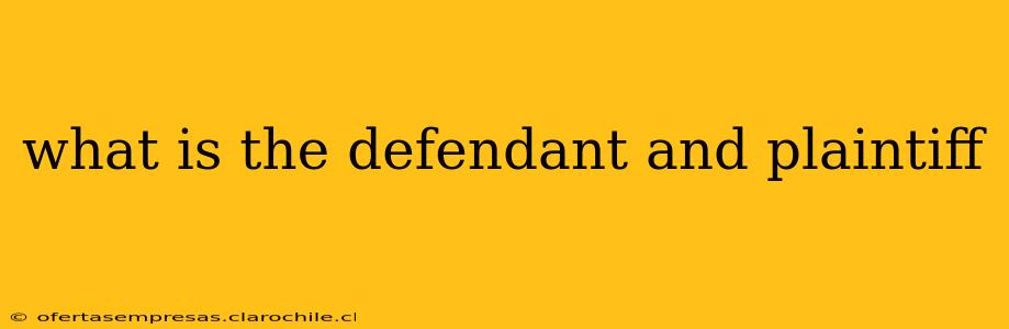 what is the defendant and plaintiff