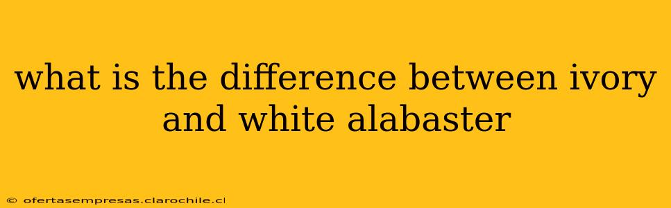 what is the difference between ivory and white alabaster