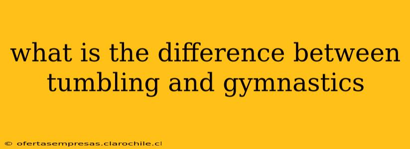 what is the difference between tumbling and gymnastics