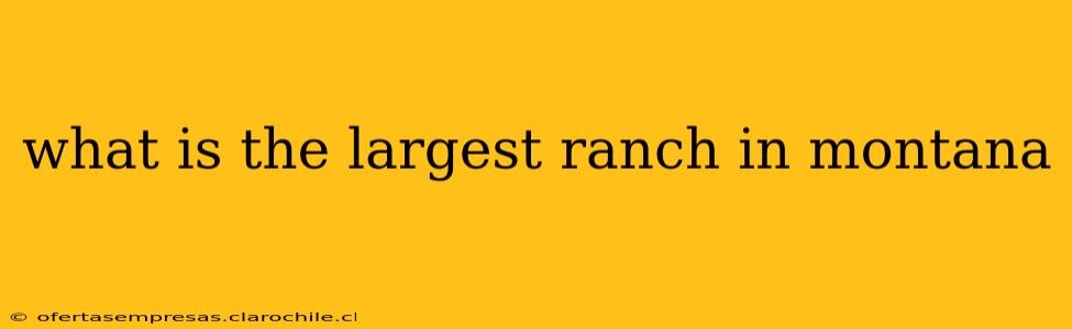 what is the largest ranch in montana