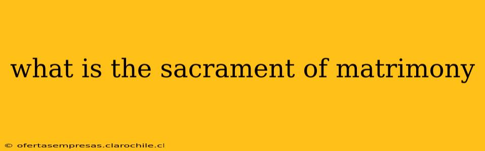 what is the sacrament of matrimony