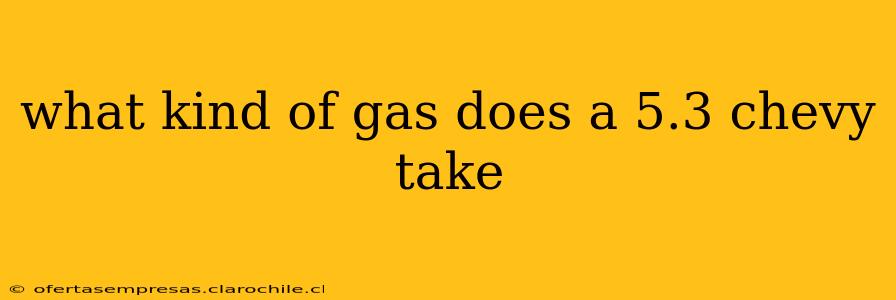 what kind of gas does a 5.3 chevy take