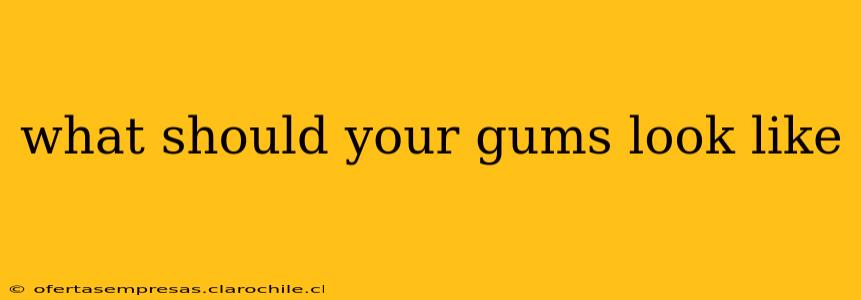 what should your gums look like
